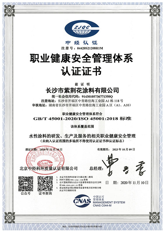 2020年职业健康体系认证-中文版